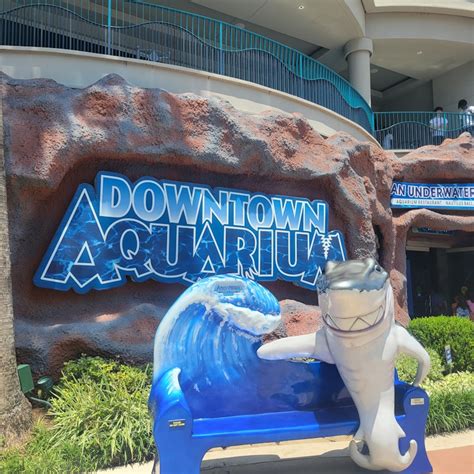 Houston aquarium tickets. Things To Know About Houston aquarium tickets. 